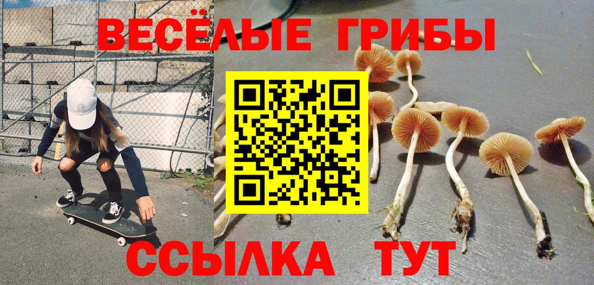 Десногорск  Псилоцибиновые грибы мицелий  Вход с VPN 